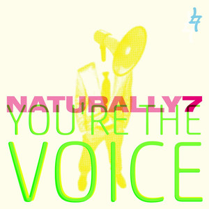 You're the Voice