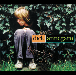 Dick Annegarn