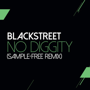 No Diggity (Sam Wilkes & Brian Gr