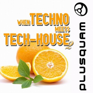 When Techno Meets Tech-House Vol.