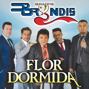 Flor Dormida