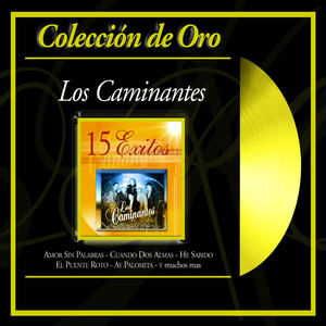 Coleccion De Oro