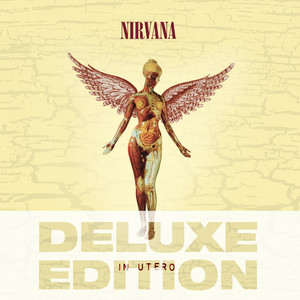 In Utero - 20th Anniversary - Del