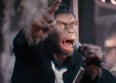 Robbie Williams transformé en singe !