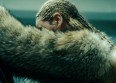 "Lemonade" disponible en streaming !