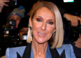 Céline Dion : un projet artistique inattendu