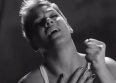 Pink : un clip émouvant pour "Wild Hearts..."