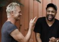 Sting et Shaggy bientôt dans... Animal Crossing