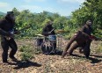 Découvrez le nouveau clip de Coldplay !