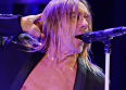 L'insolente vitalité d'Iggy Pop sur scène