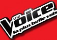 Un prof de la "Star Ac" au casting de "The Voice"