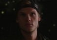 Avicii : découvrez le clip "Hey Brother" !