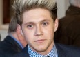 Niall (One Direction) blessé par un fan !