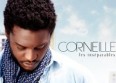 Les Albums 2011 : Corneille, "Les inséparables"