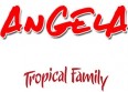 "Angela" nouvel extrait de "Tropical Family"