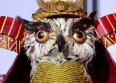 Mask Singer : qui est le Hibou ?