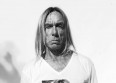 Iggy Pop reprend Gainsbourg et Piaf