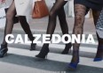 Musique de la pub "Calzedonia" : qui chante ?