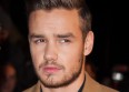 Liam Payne (One Direction) accusé d'homophobie