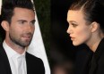 Adam Levine bientôt au cinéma !