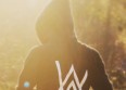 Alan Walker fait fondre la France avec "Faded"