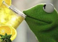 Kermit parodie Beyoncé : regardez !