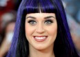 Katy Perry bat un record sur Twitter