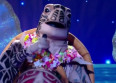 Mask Singer : qui est la Tortue ?