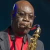 Manu Dibango en live à Bruxelles : photos