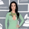 Grammy Awards 2013 : toutes les stars sur le tapis rouge (photos)