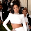 Déluge de stars au Met Costume Institute Gala 2014 : photos